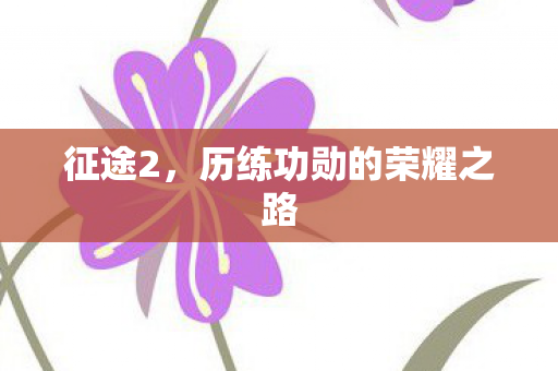 历练功勋的荣耀之路图片