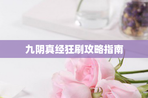 九阴真经狂刷攻略指南图片