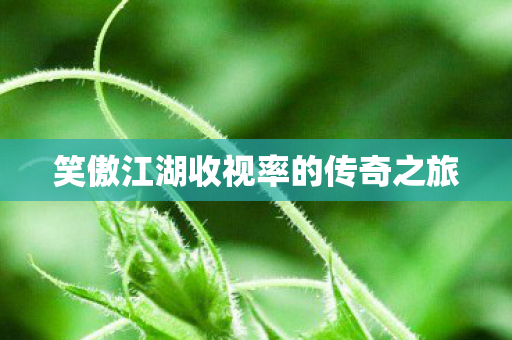 笑傲江湖收视率的传奇之旅图片