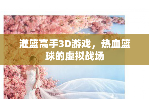 热血篮球的虚拟战场图片
