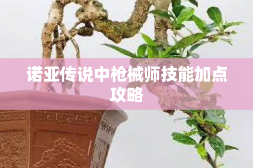 诺亚传说中枪械师技能加点攻略图片