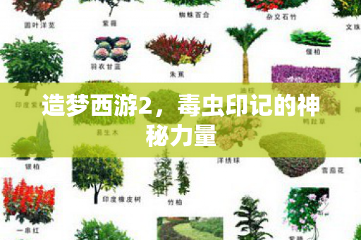 毒虫印记的神秘力量图片
