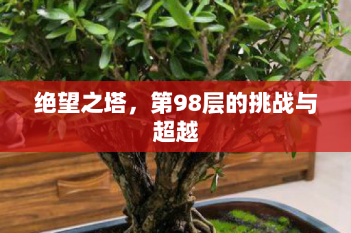 第98层的挑战与超越图片