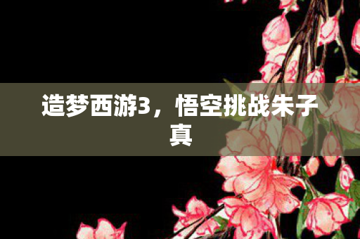 悟空挑战朱子真图片