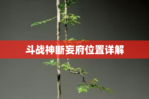 斗战神断妄府位置详解图片