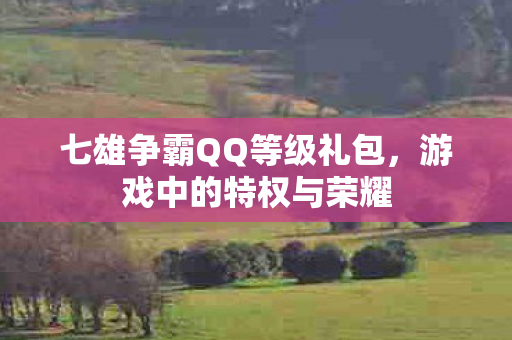 七雄争霸QQ等级礼包图片