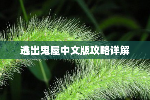 逃出鬼屋中文版攻略详解图片