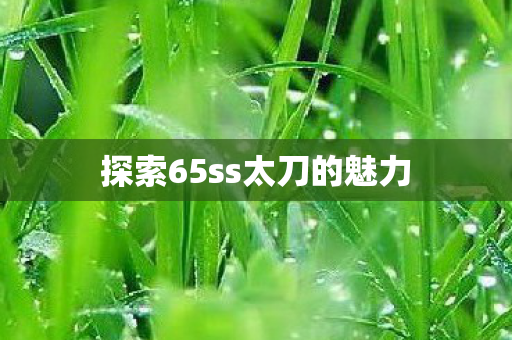 探索65ss太刀的魅力图片