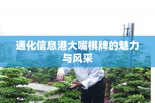 通化信息港大嘴棋牌的魅力与风采图片