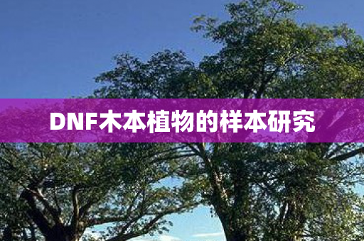 DNF木本植物的样本研究图片
