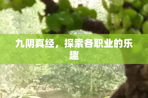 探索各职业的乐趣图片