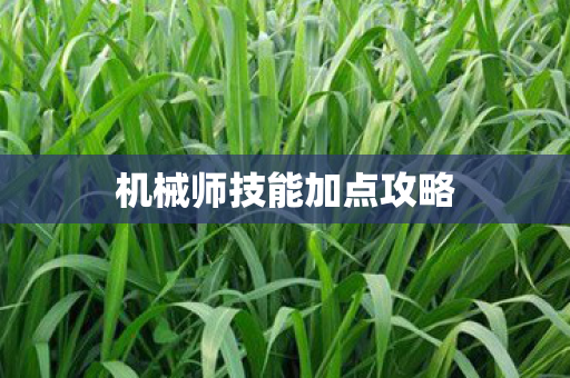 机械师技能加点攻略图片