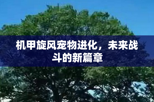 机甲旋风宠物进化图片