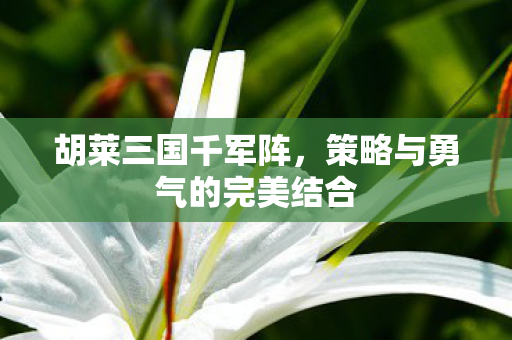 策略与勇气的完美结合图片