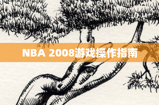 NBA 2008游戏操作指南图片