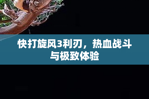 热血战斗与极致体验图片