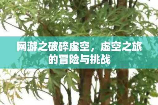 虚空之旅的冒险与挑战图片