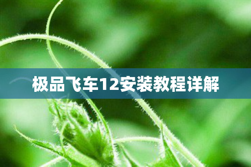 极品飞车12安装教程详解图片