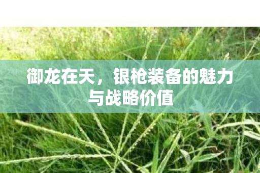 银枪装备的魅力与战略价值图片