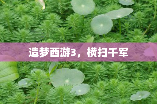 造梦西游3图片