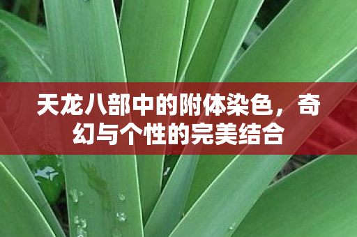 天龙八部中的附体染色图片