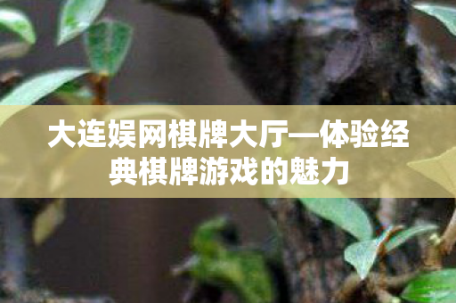 体验经典棋牌游戏的魅力图片