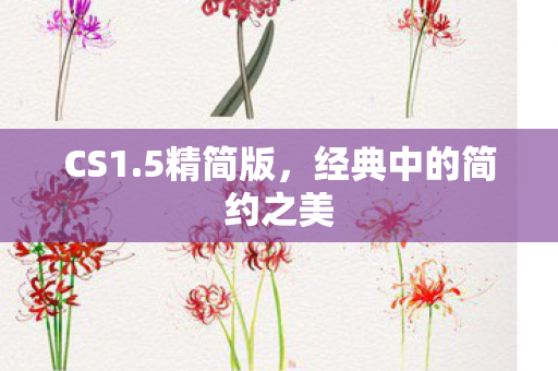 经典中的简约之美图片