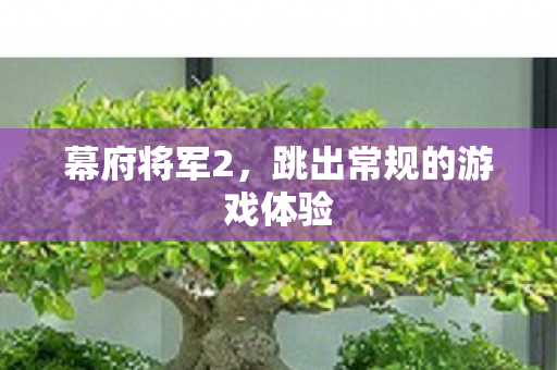 跳出常规的游戏体验图片