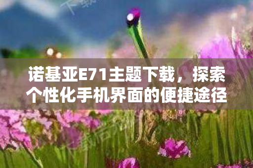 探索个性化手机界面的便捷途径图片