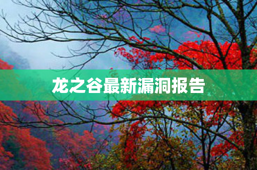 龙之谷最新漏洞报告图片