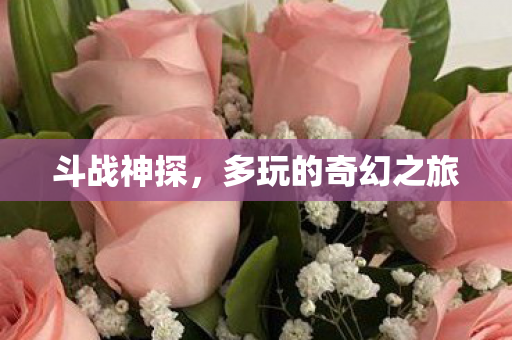 多玩的奇幻之旅图片