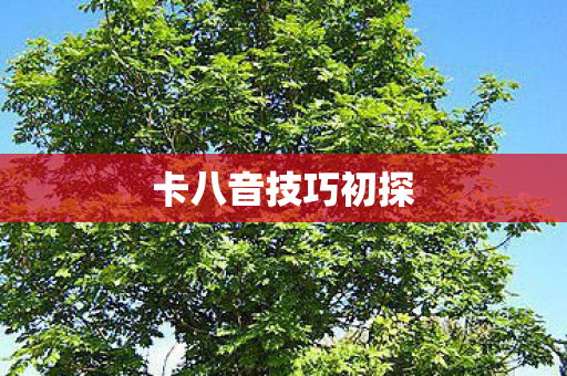 卡八音技巧初探图片