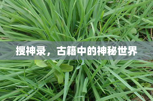 古籍中的神秘世界图片