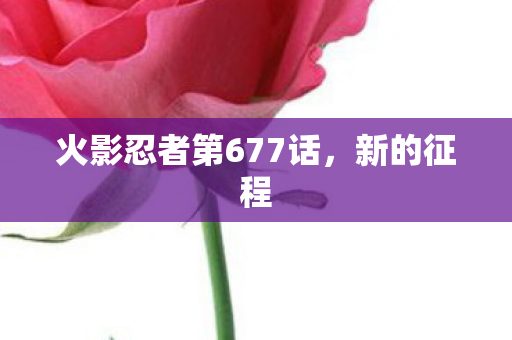 火影忍者第677话图片