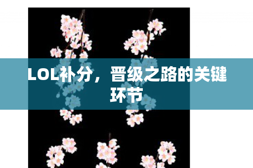 晋级之路的关键环节图片