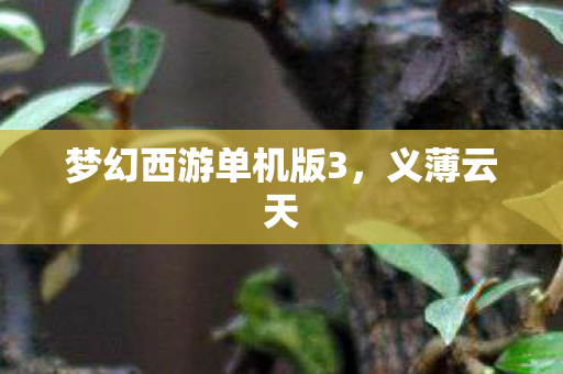 梦幻西游单机版3图片
