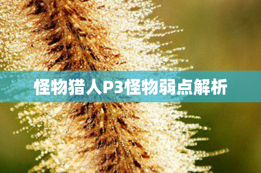 怪物猎人P3怪物弱点解析图片