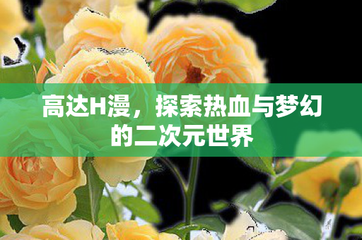 探索热血与梦幻的二次元世界图片
