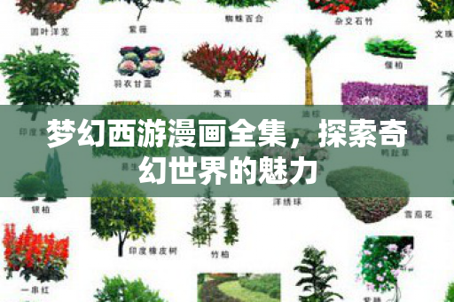 探索奇幻世界的魅力图片