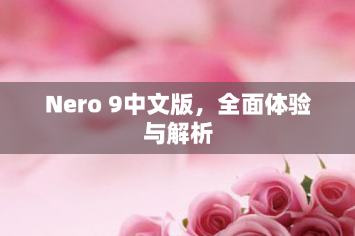 Nero 9中文版图片