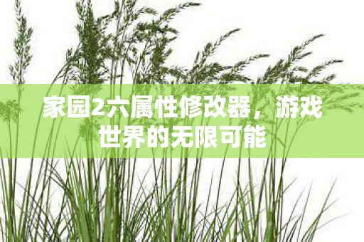 家园2六属性修改器图片