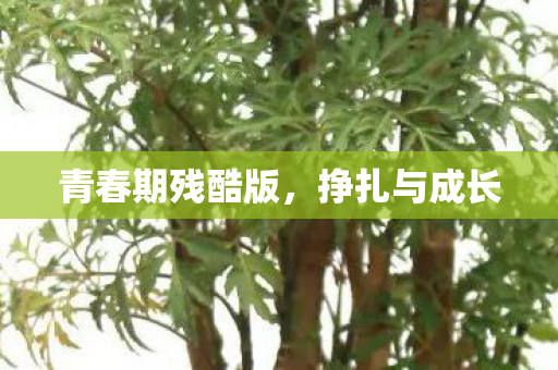 青春期残酷版图片