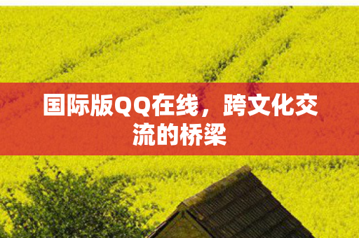 跨文化交流的桥梁图片