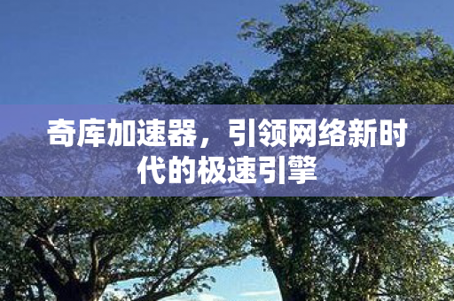 引领网络新时代的极速引擎图片