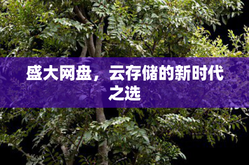 云存储的新时代之选图片