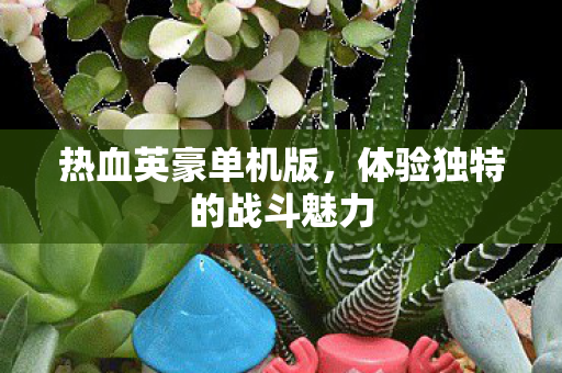 体验独特的战斗魅力图片