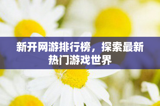 探索最新热门游戏世界图片