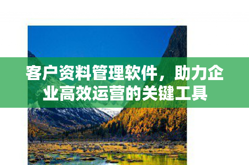 助力企业高效运营的关键工具图片