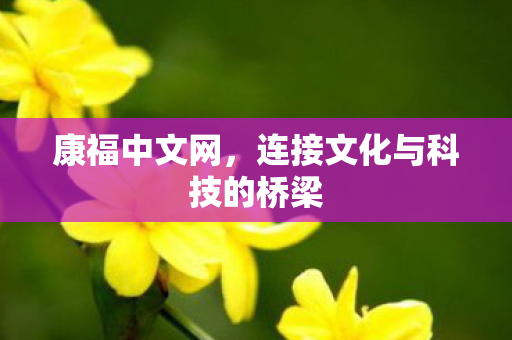 连接文化与科技的桥梁图片