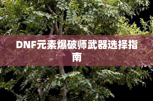 DNF元素爆破师武器选择指南图片